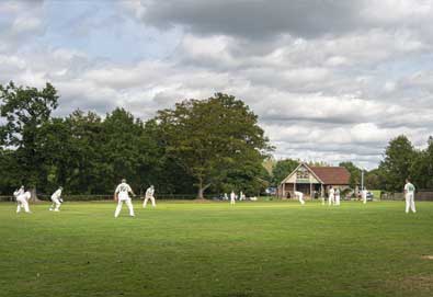 Cricket Club Insurance
