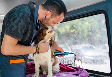 Mobile Dog and Pet Grooming Van Insurance